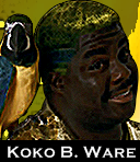 KokoBware_zps8cf7a1c0.png