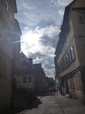 Bild