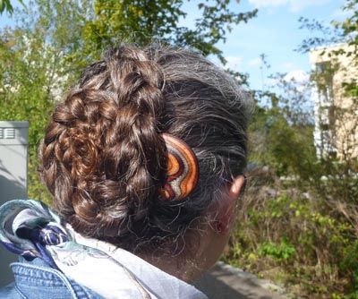 Bild
