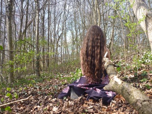 Bild