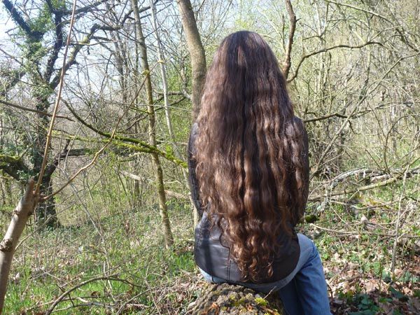 Bild