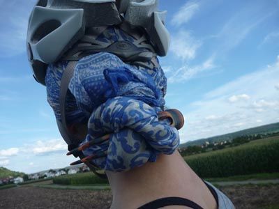 Bild