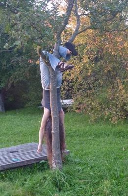 Bild