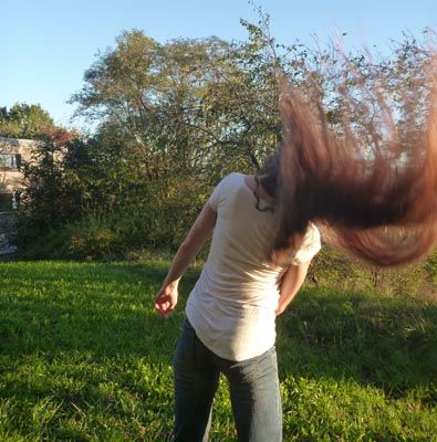Bild