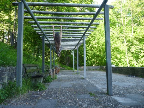 Bild