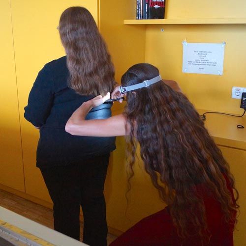 Bild