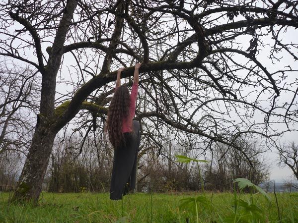 Bild