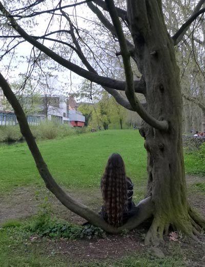 Bild