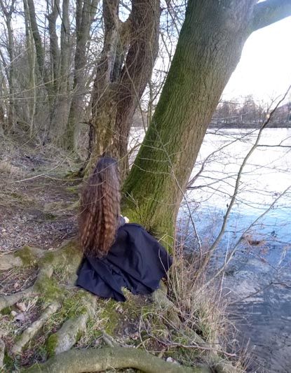Bild