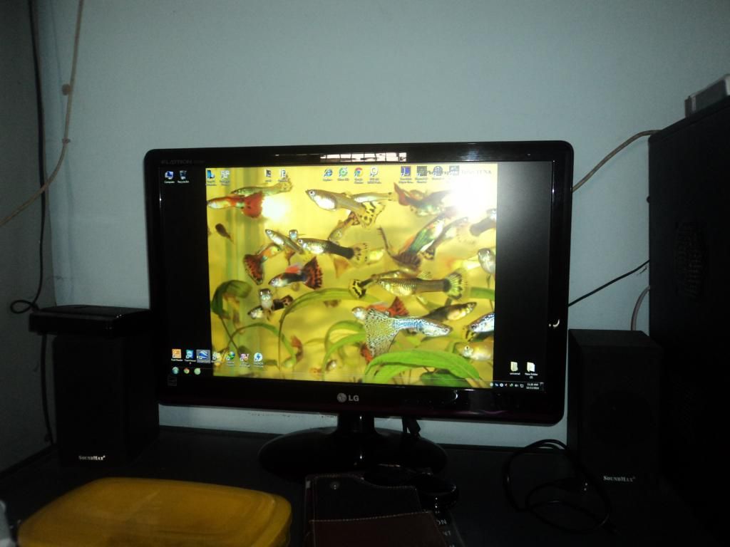 Can thanh ly gap hang gia re - 3