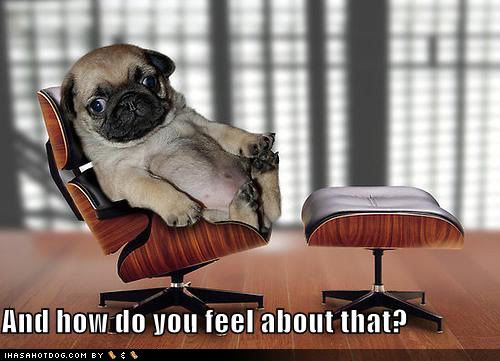 http://i1332.photobucket.com/albums/w615/Li64/Animals/funny-dog-pictures-psychiatrist-pug_zps46674909.jpg