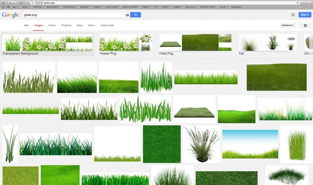 grass2_zps02f95301.jpg